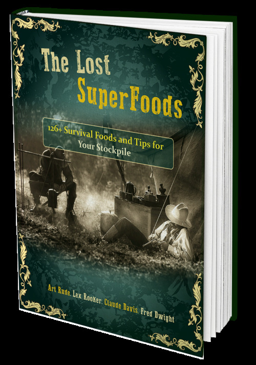 Unlock the Power of The Lost SuperFoods (Book)